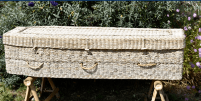 Quiescence Banana Green Caskets